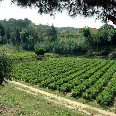 Casa rural Allotjaments Rurals Vallplana Malgrat de Mar