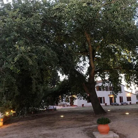Allotjaments Rurals Vallplana Casa rural Malgrat de Mar