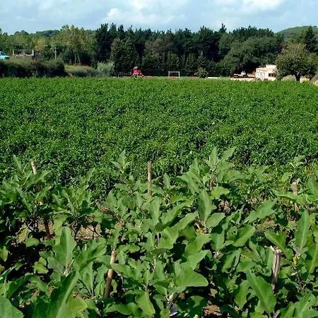 Country house Allotjaments Rurals Vallplana *
